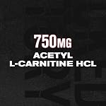 Acetyl L Carnitine Supplement 750mg - Extra Strength L-Carnitine (ALCAR) for Energy, Mood Improvement, Memory & More - 120 Capsules