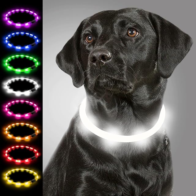 Joytale Light Up Dog Collar,LED Flashing Dog Collar for Night Walking, Illuminated USB Rechargeable Glow Collars for Puppy Small Medium and Large Dogs,White