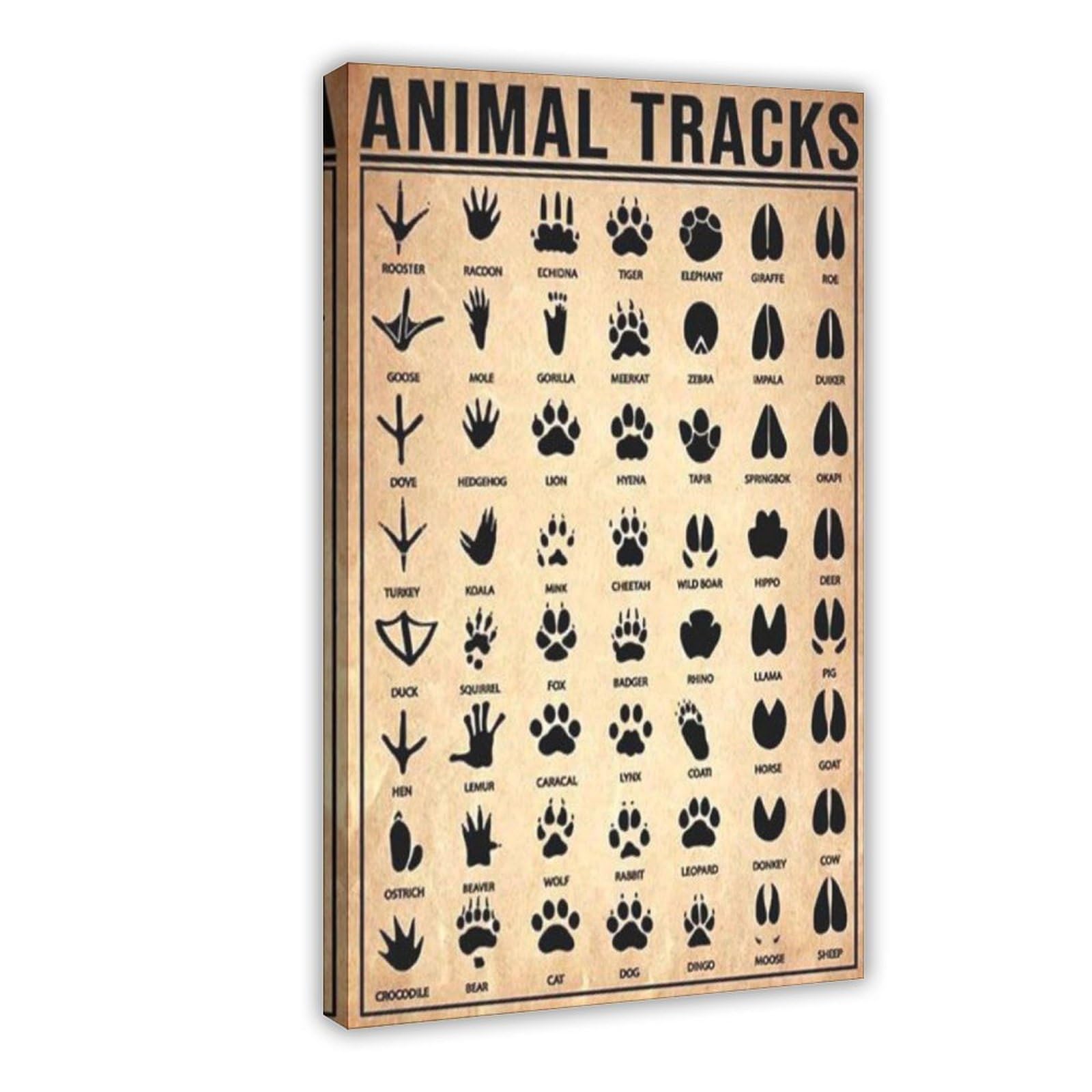 Leinwandposter mit Tiermotiven – Ein umfassender Leitfaden für Outdoor-Enthusiasten, Wandkunst, Dekordruck, Bild, Gemälde für Wohnzimmer, Schlafzimmer, Dekoration, 50 x 75 cm
