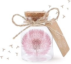XIANNVXI Wish Fulfiller Dandelion in Glass Real Dandelion Decoration Birthday Gift Ideas for Women Decoration Gifts in Glass Flowers Gift Wishing Jar (Pink)