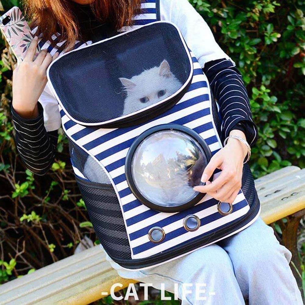 Cat-Rucksack-Träger, Haustier-Rucksack-Fluggesellschaft-genehmigtes Lüfter transparenter Raumkapselrucksack für Welpen, Reisen, Camping und Wandern