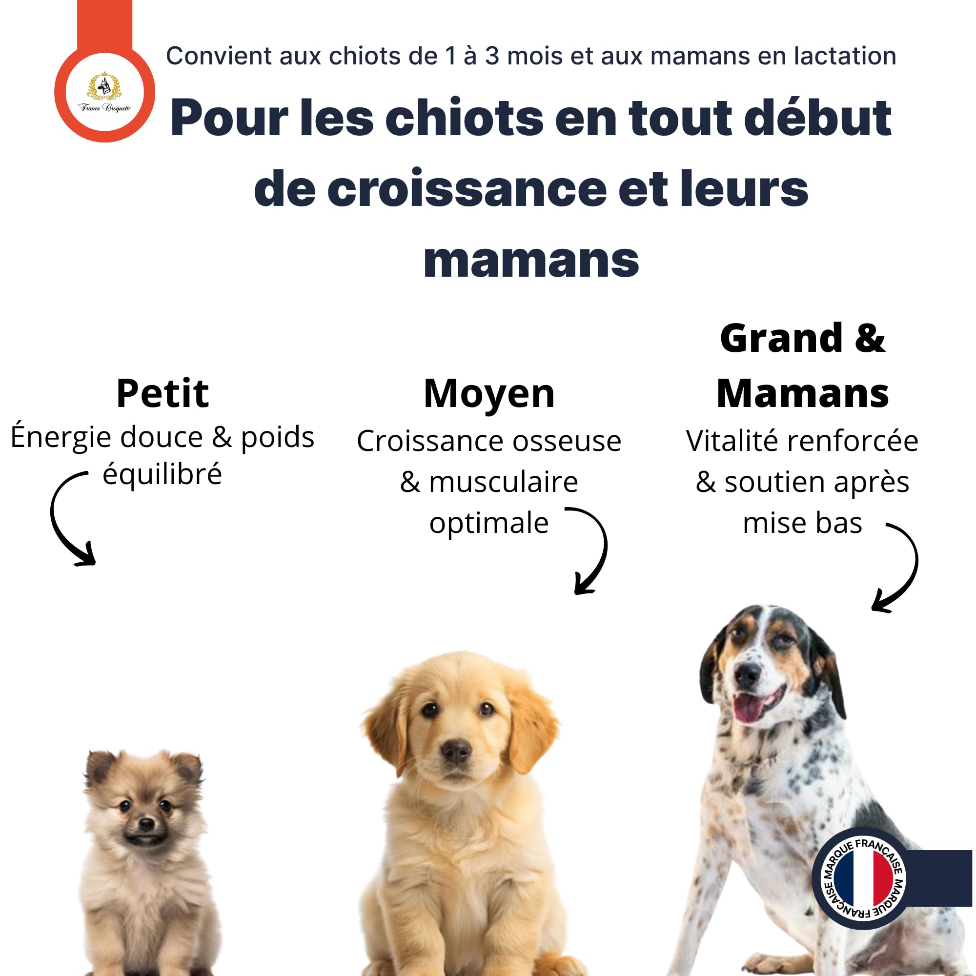 Croquettes Chiens Premium – Gold Starter Mère & Chiots 1 à 3 Mois & Chiennes Gestantes | Croissance, Sevrage Facile, Immunité, Digestion & Vitalité | Fabrication Française – Sac 10 kg