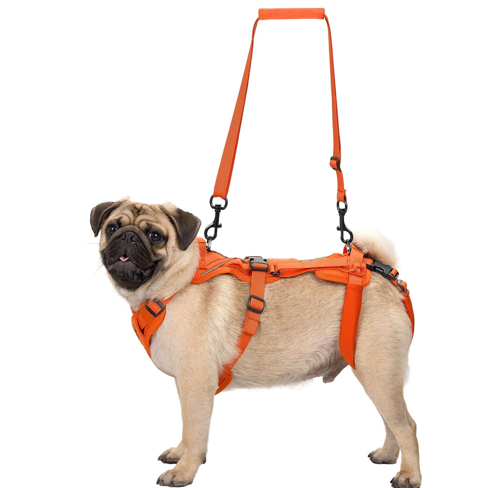 OneTigris Imbracatura per cani, Hopper piccolo supporto imbracatura regolabile con 2 manici per supporto e riabilitazione, adatta per cani di piccola taglia, arancione, S