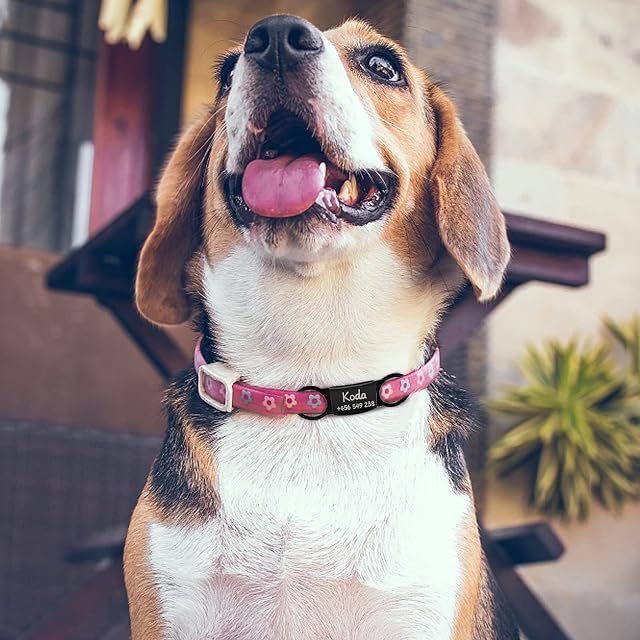 Foto 4 de 7 de CAMAL Chapa Perro Grabada, Juego de 3 Piezas Placas para Perros y Gatos, Chapas Personalizadas