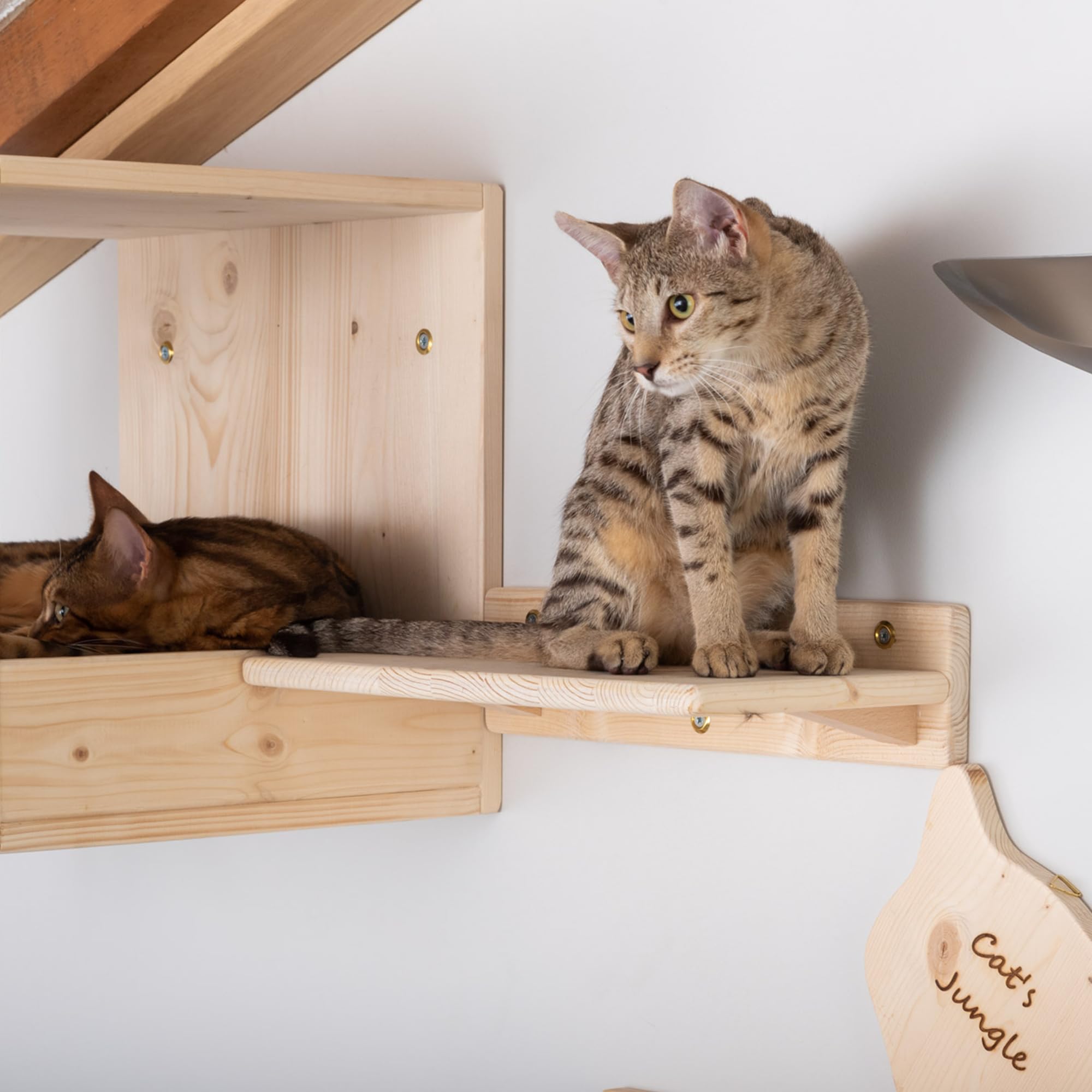 Mensole per Gatti da Parete in Legno d'Abete PEFC Artigianali, Mensola Gatto 40 cm, per Arrampicata e Percorso da Muro per Gatti con Resistenza Fino a 20 kg – Percorsipergatti