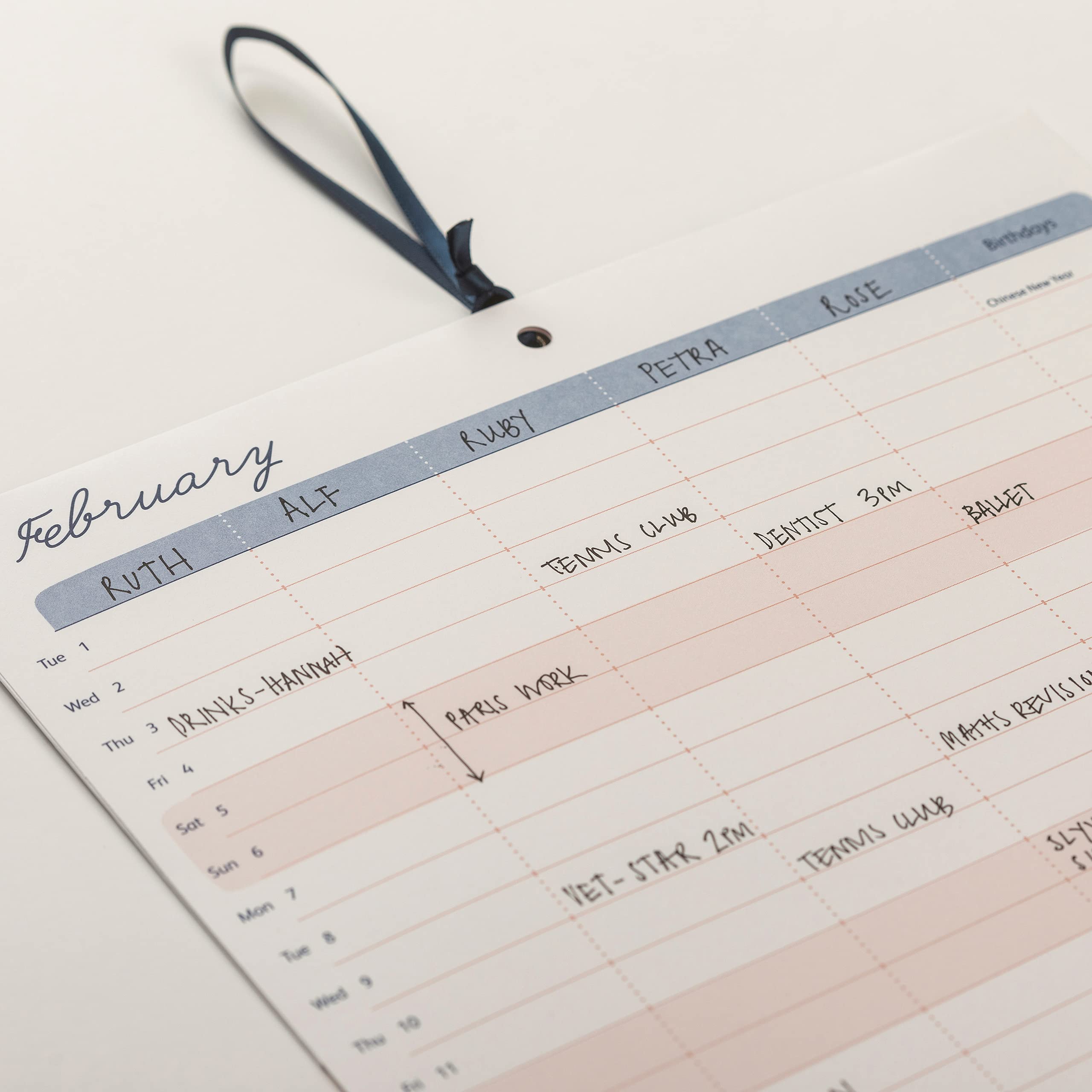 busy-b-family-monthly-calendar-january-to-december-2022-birds-family