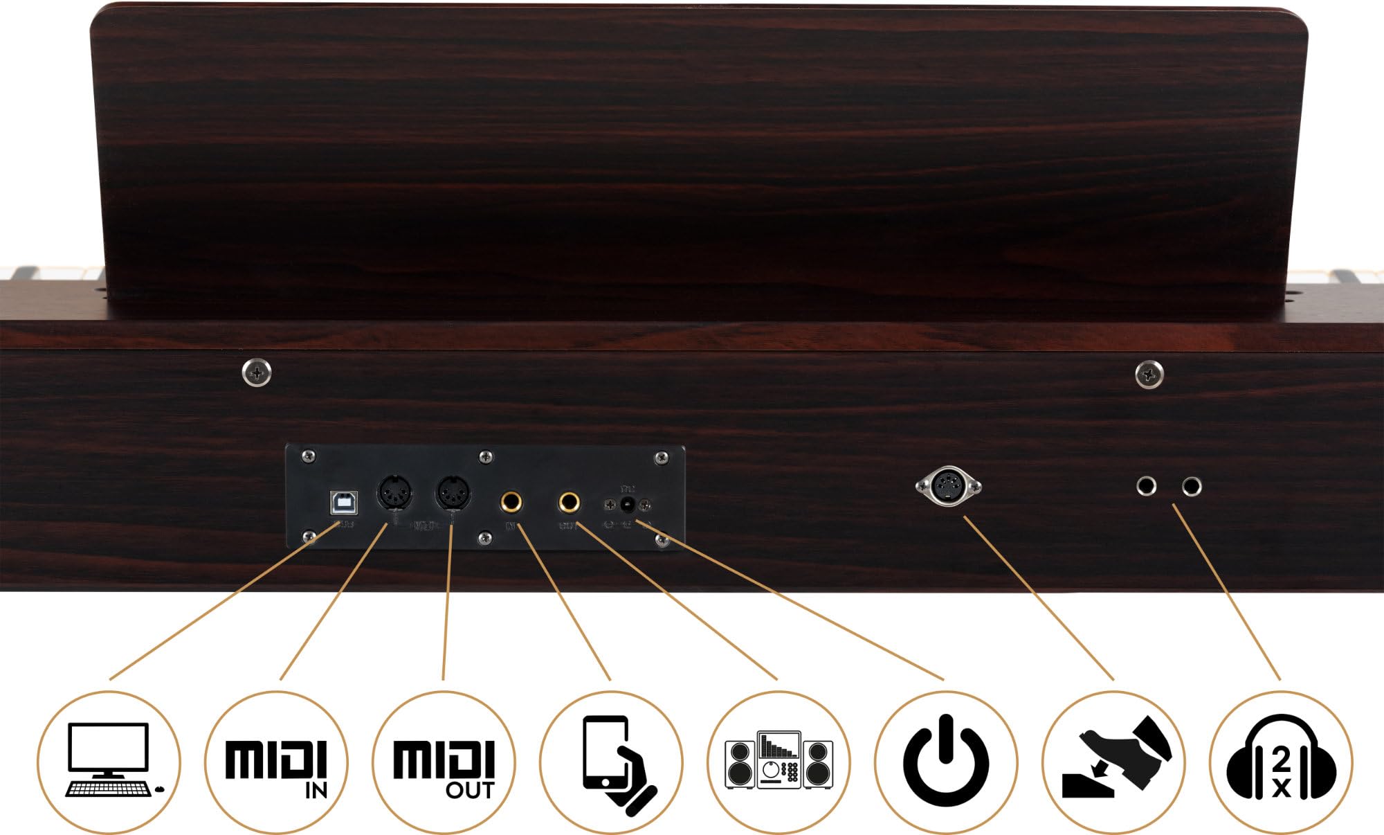 McGrey DP-17 WD Design Piano noce scuro, Polifonia a 128 voci, Off) | 88 tasti pesati con meccanica a martello, Dinamica di tocco (On, Off), 80 brani demo interni, 128 suoni, 3 pedali (Sustain