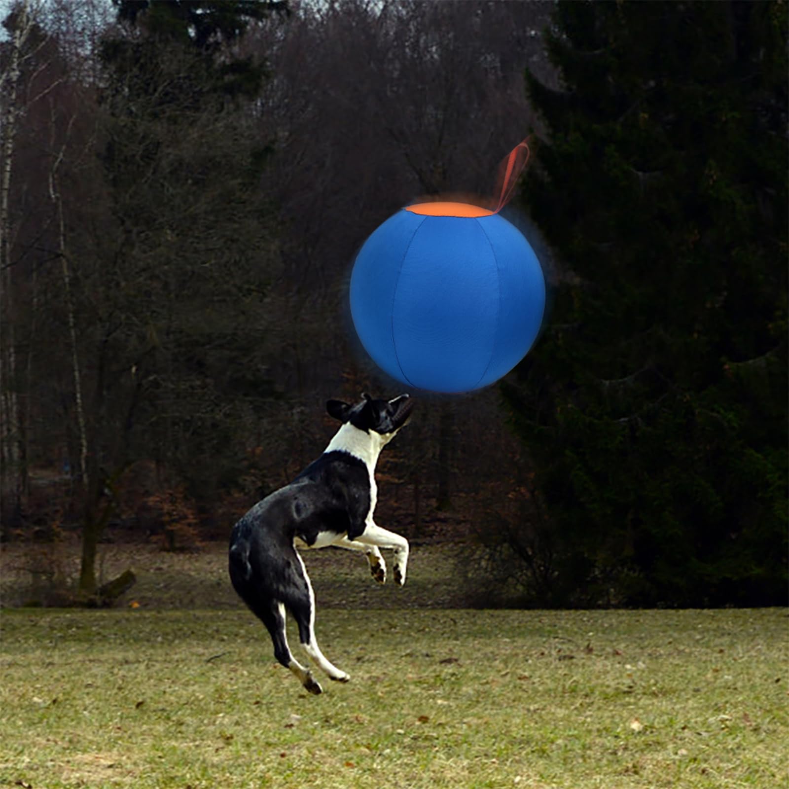 Naveo Jouet Gonflable Chien pour Grands Chiens | Ballon résistant pour jeux extérieurs facile à gonfler favorise l'exercice la coordination et l'interaction