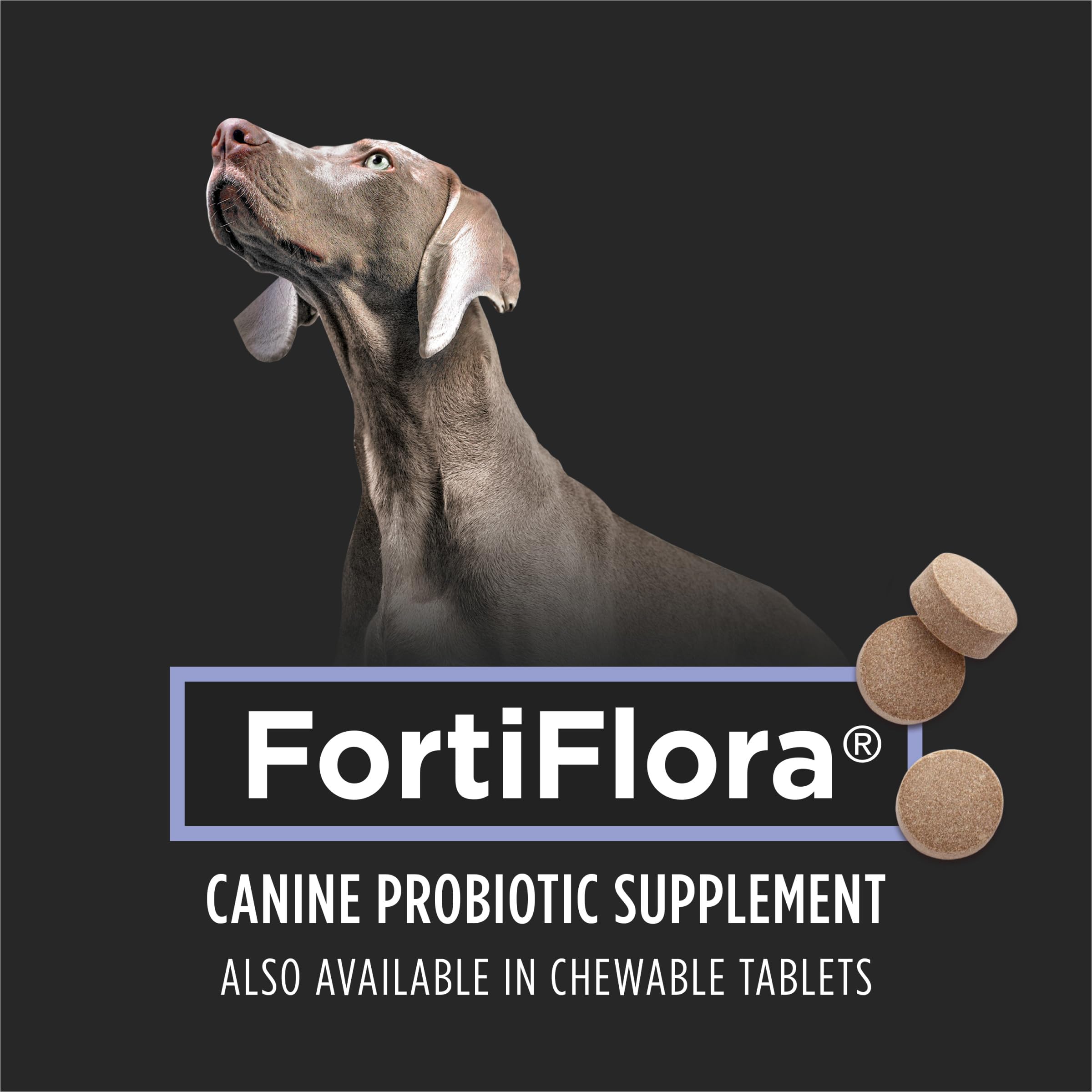 Amazon.com : Purina Pro Plan Veterinary Supplements FortiFlora Dog