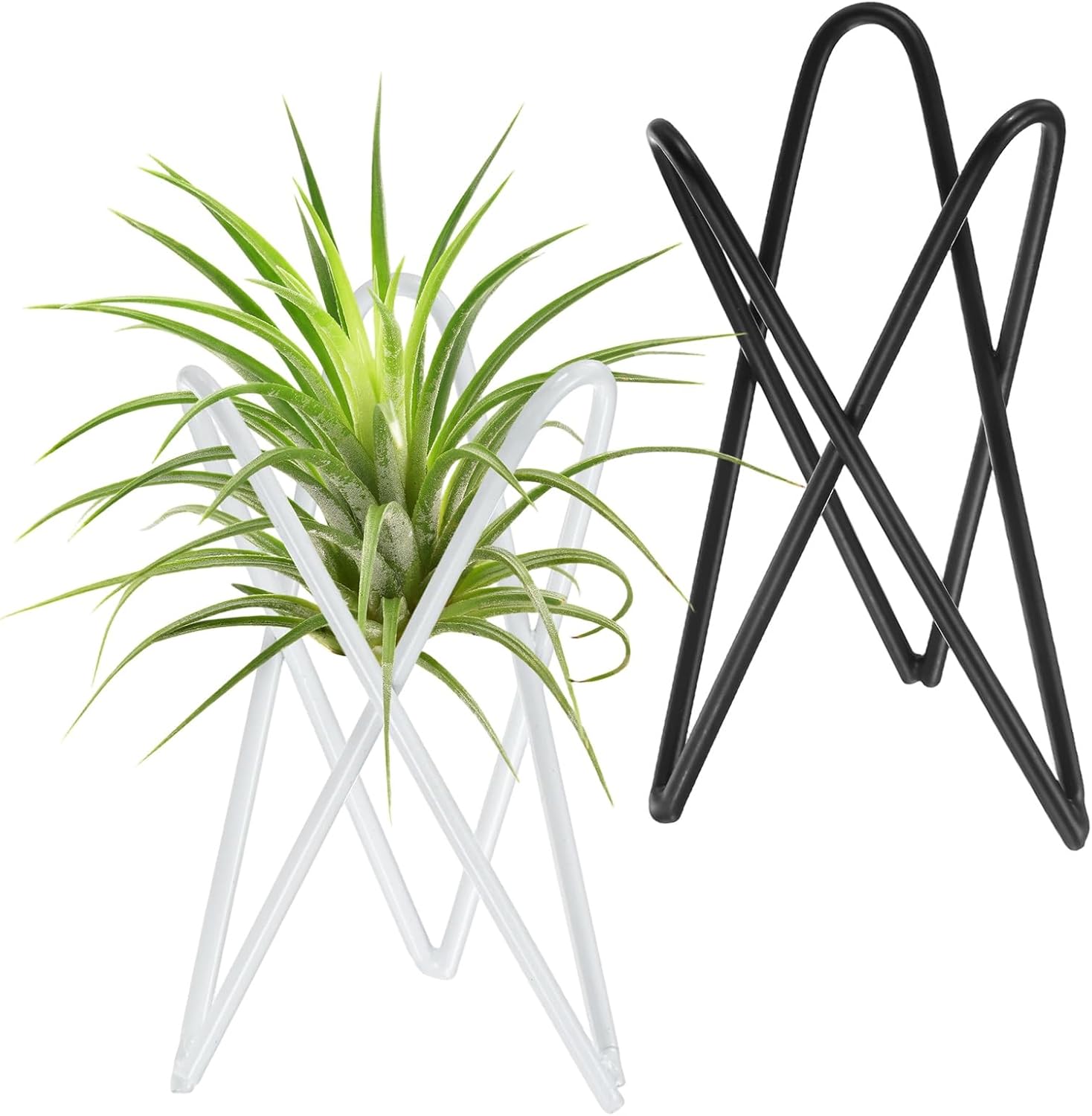 M METERXITY 2-Pack Geometric Air Plant Holders, Modern Metal Airplants Stand Rack Holder for Home Decor/Small Indoor Outdoor Plants, Tillandsia Pot Containers [White, Black, 3.9" H]