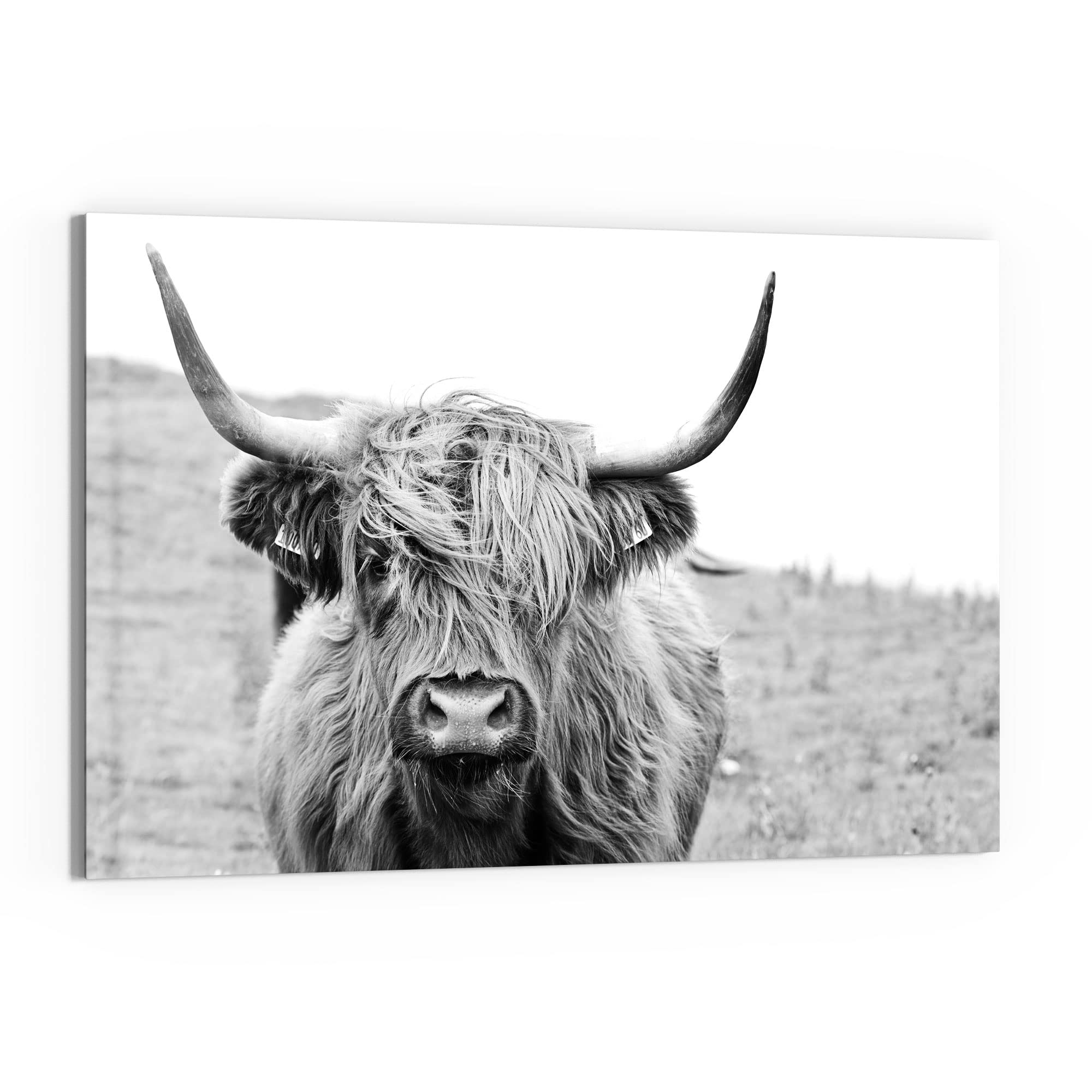 DEQORI Szklana tablica magnetyczna | wymiary 90 x 60 cm | motyw "Kudłata wołowina górska" | tablica do notatek ze szkła | tablica magnetyczna z magnesami, długopisem i chusteczką do kuchni i biura |