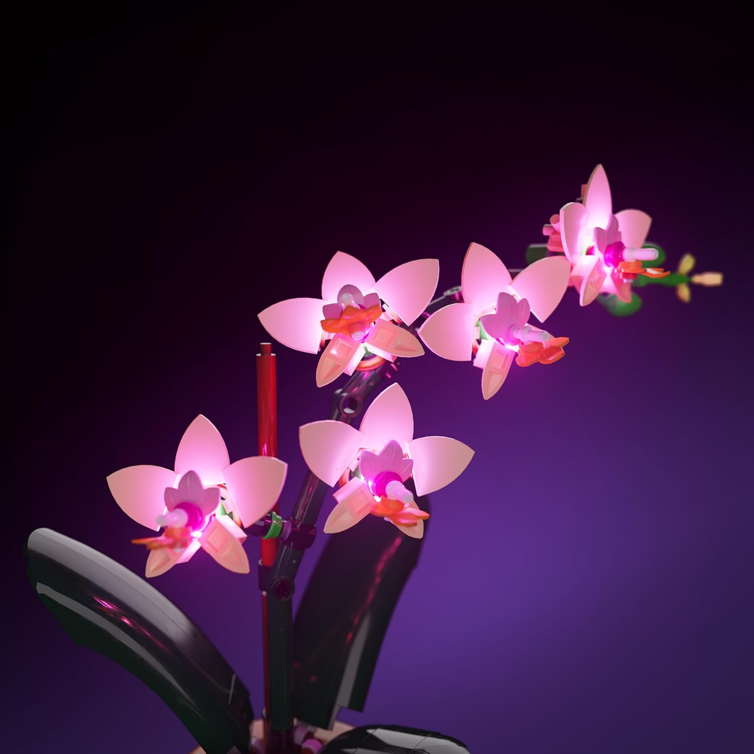 Close-up of lit Lego Mini Orchid flowers