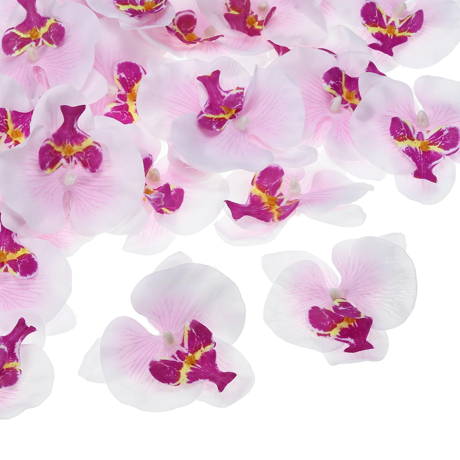 Orchidée phalaenopsis artificielle en soie blanche et violette Lot de 40 têtes de 9cm PATIKIL