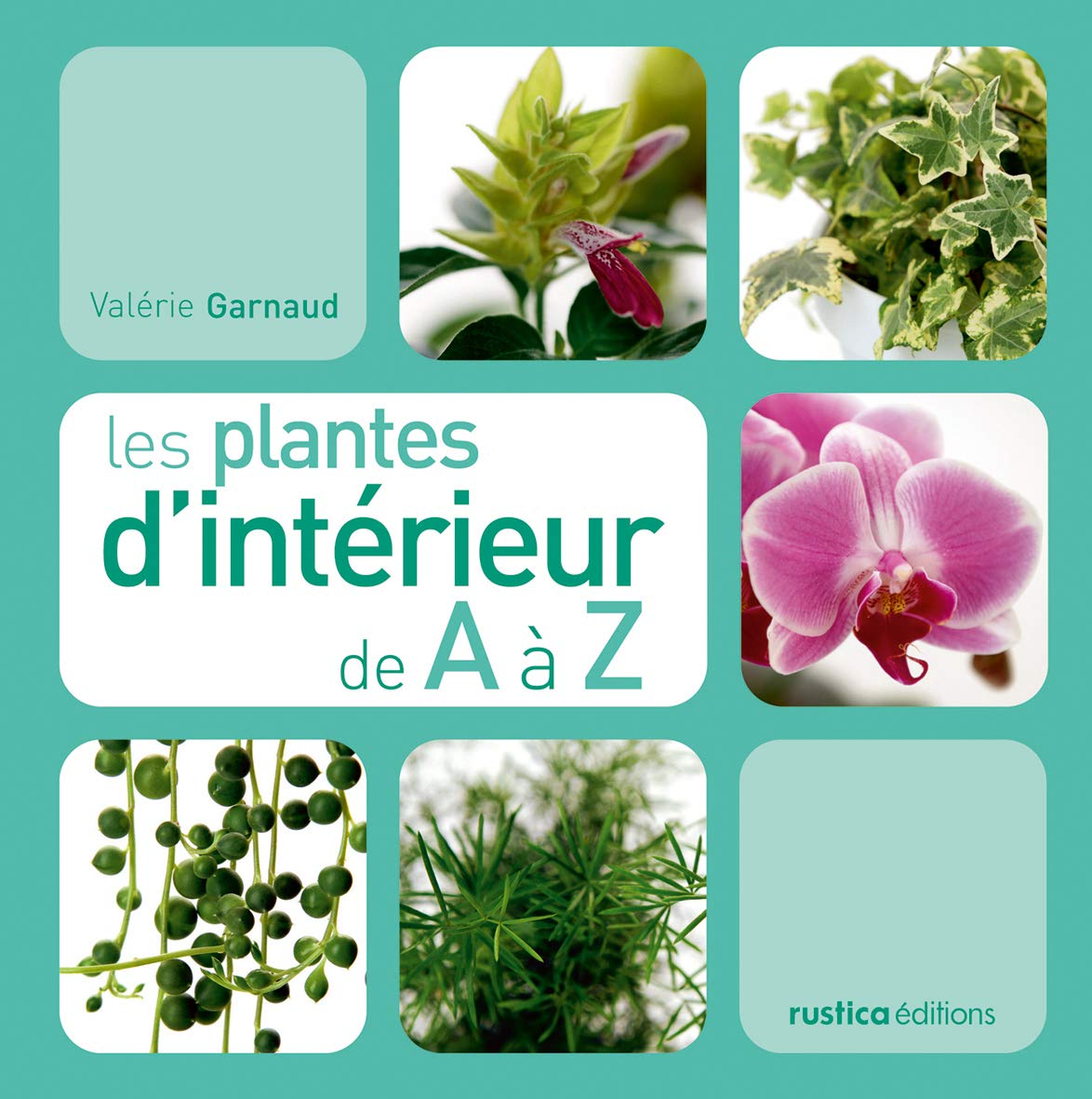 Les Plantes D Intérieur De A à Z Pdf