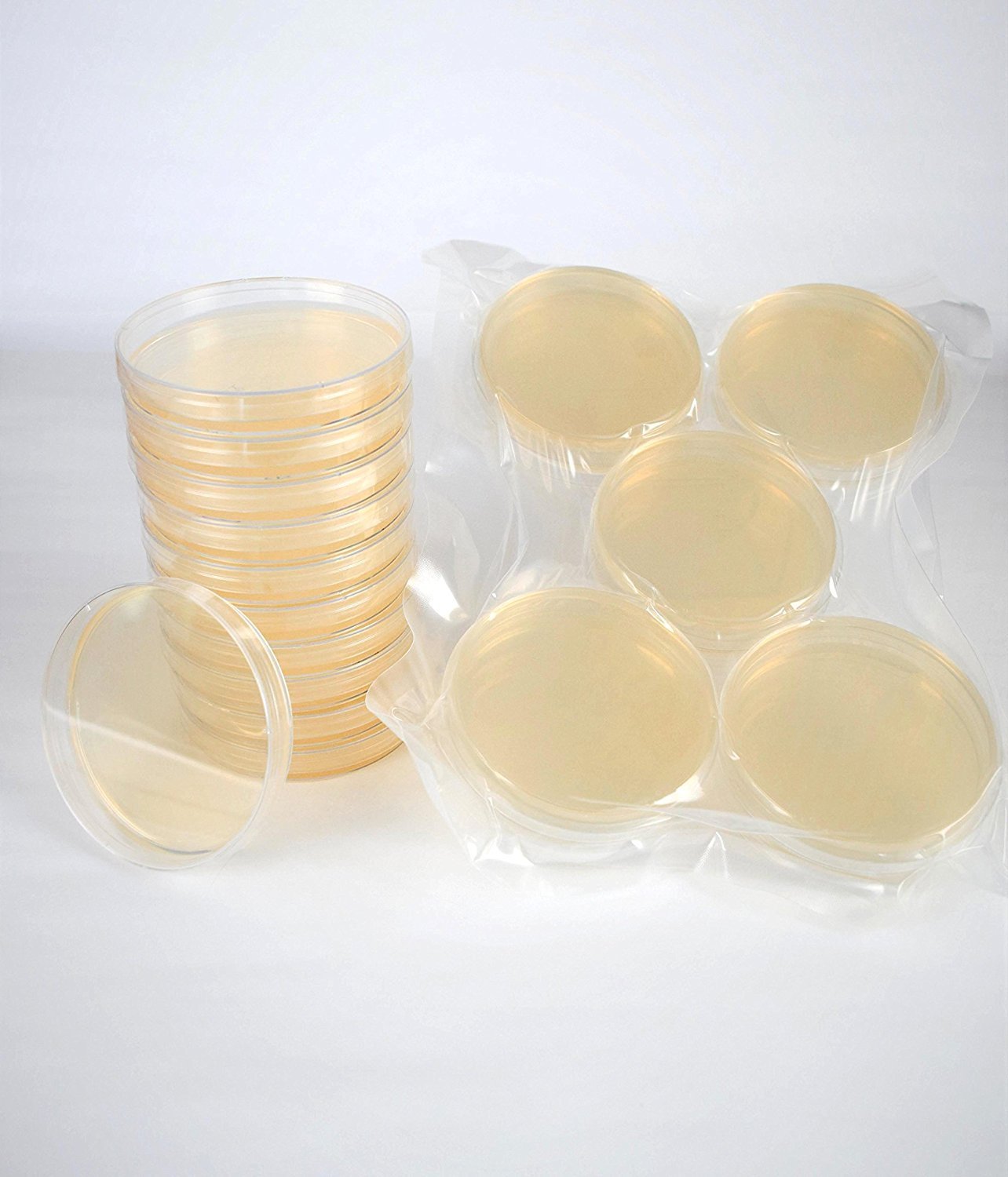 Yeast Peptone Dextrose Agar (YPD), (10Pack), PrePoured, FlatPacked