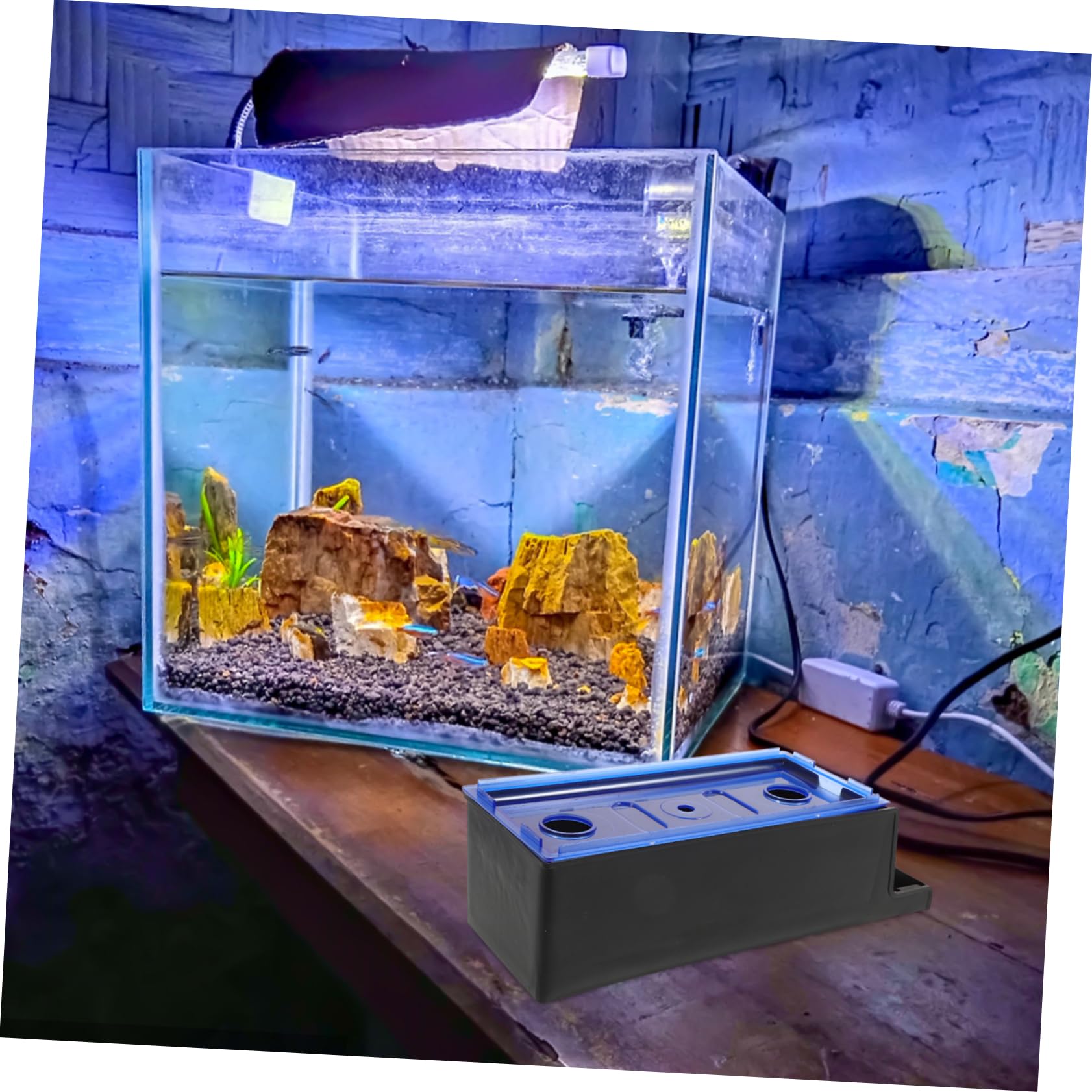 BESPORTBLE 3stücke Fish Tank Box Mit Externem Filterdesign Hängende Filterbox Für Aquarien Einfache Wartung Und Verbesserten Sauerstoffgehalt Geeignet Für Süßwasser-aquarien