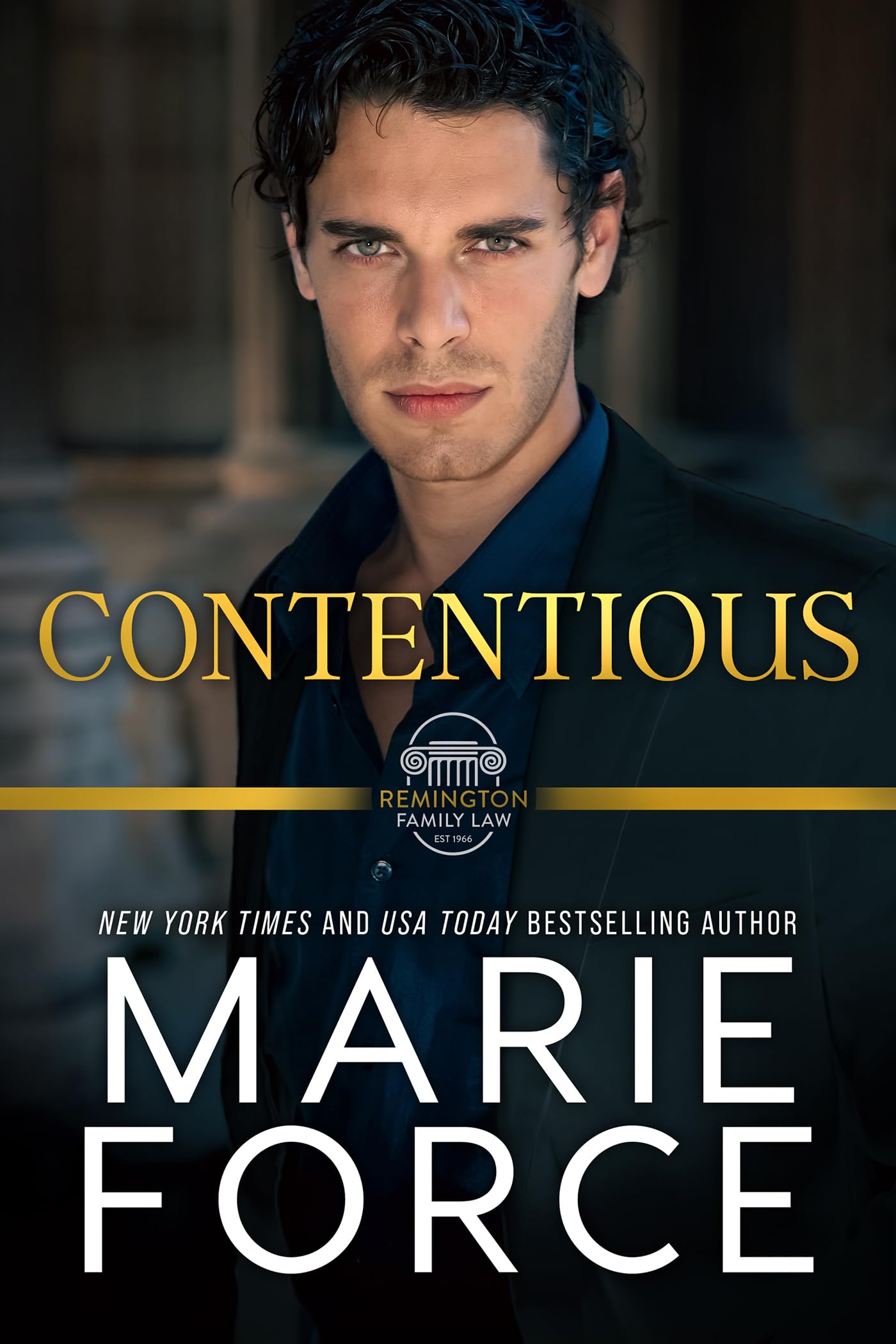 Contentious, A Remington Family Law Novel (Family Law Series)
