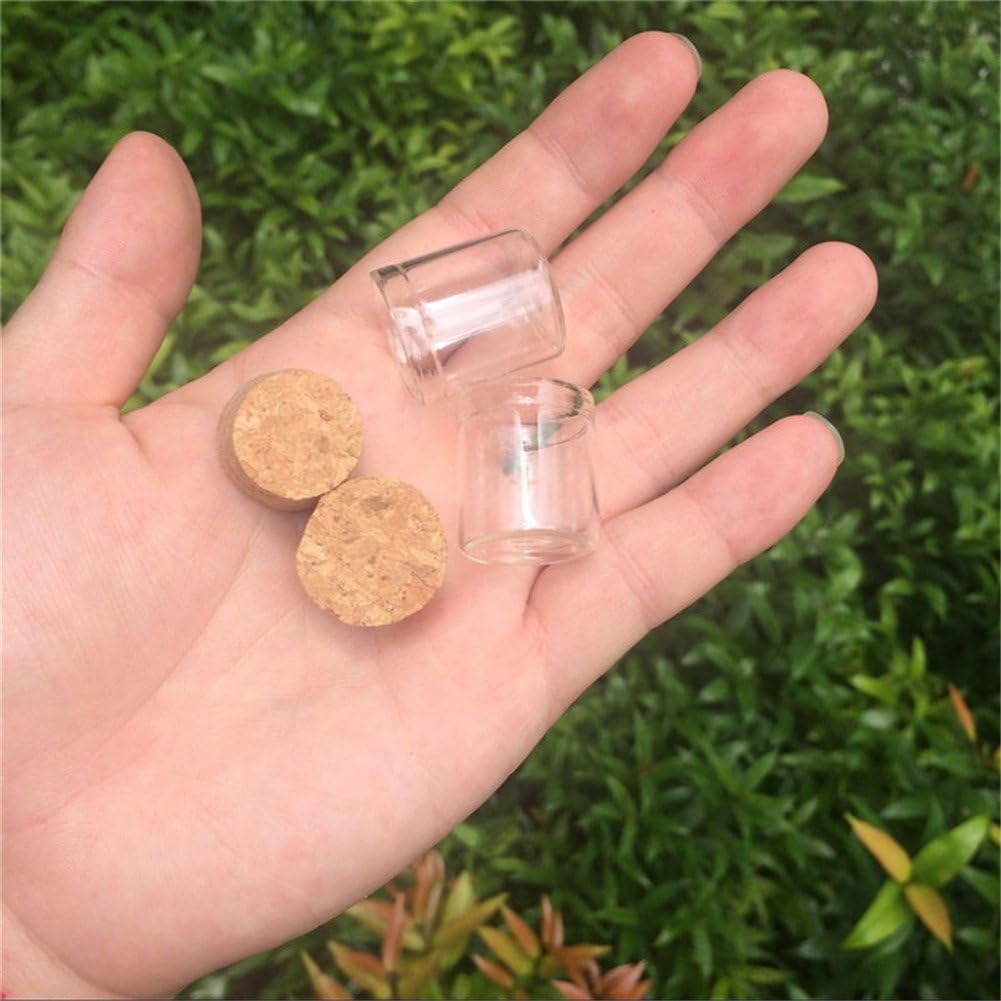 4ml 22x25mm Mini Bottles Glass Test Tube Jar Storage for Sand Liquid Food Gift DIY Bottles 100pcs (100, 4ml)