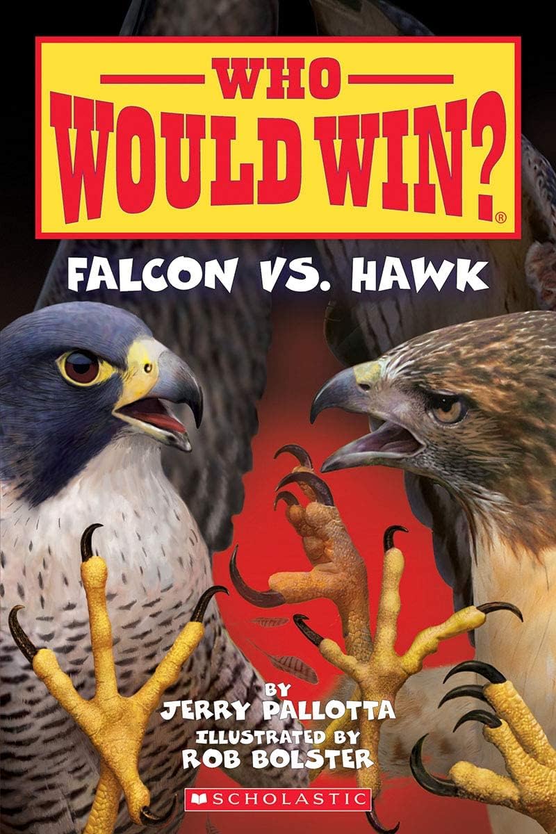 Who Would Win Falcon Vs. Hawk
