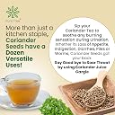 Pure Tree Certified Organic Coriander Seeds | 850 g | Dhaniya | Coriander Whole | Khada Dhania | Sabut Daniyalu Seeds gallery image