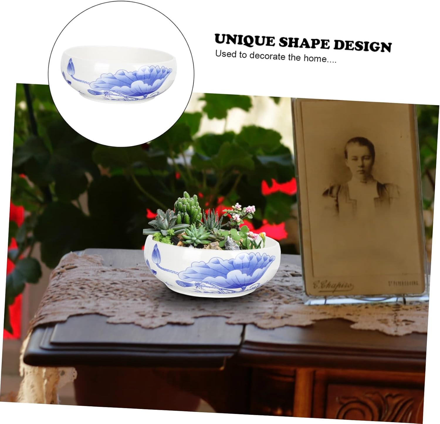 Toddmomy Hydroponic Plant Pot Blue and White Porcelain Succulent Dish Ceramic Flowerpot for Home Office Decoration 10 Inch Indoor Planter Drainage