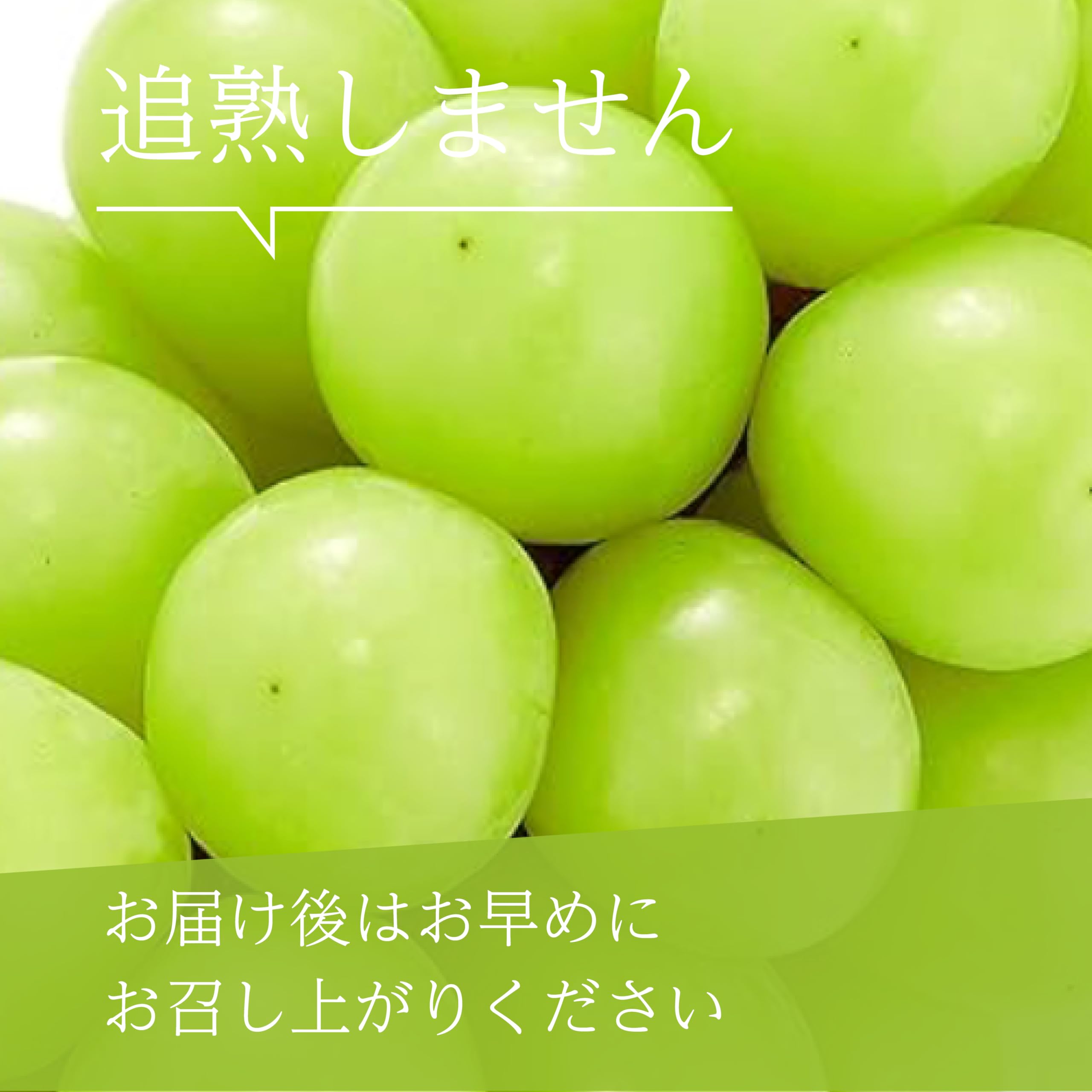 Amazon.co.jp: 国内産 シャインマスカット 1パック 300g : 食品・飲料