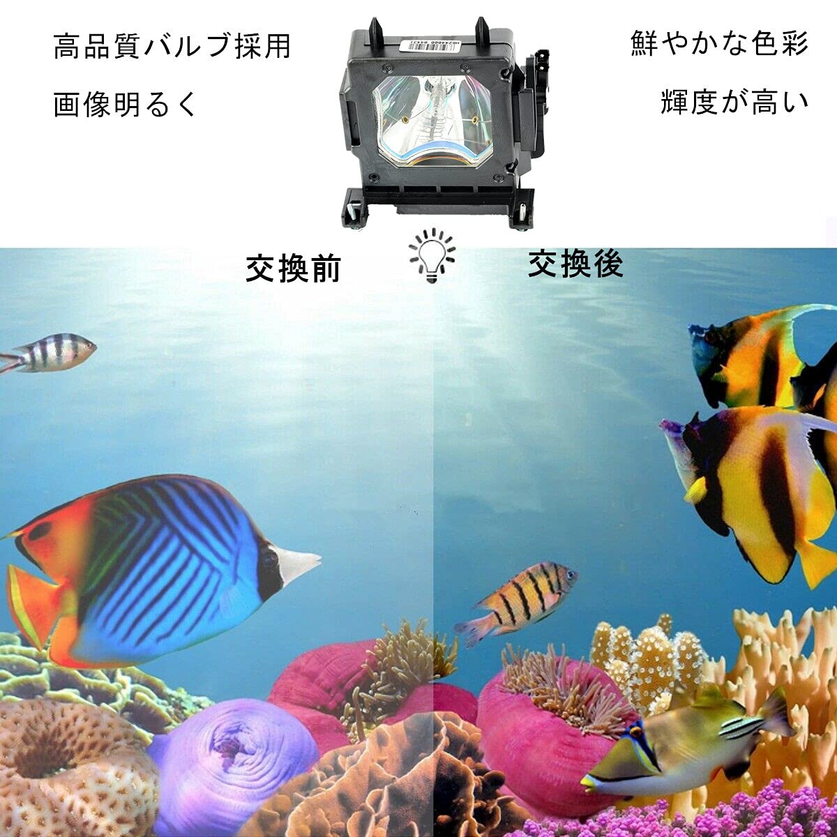 Amazon.co.jp: Brighter Lamp LMP-H202 プロジェクター 交換用 ランプ