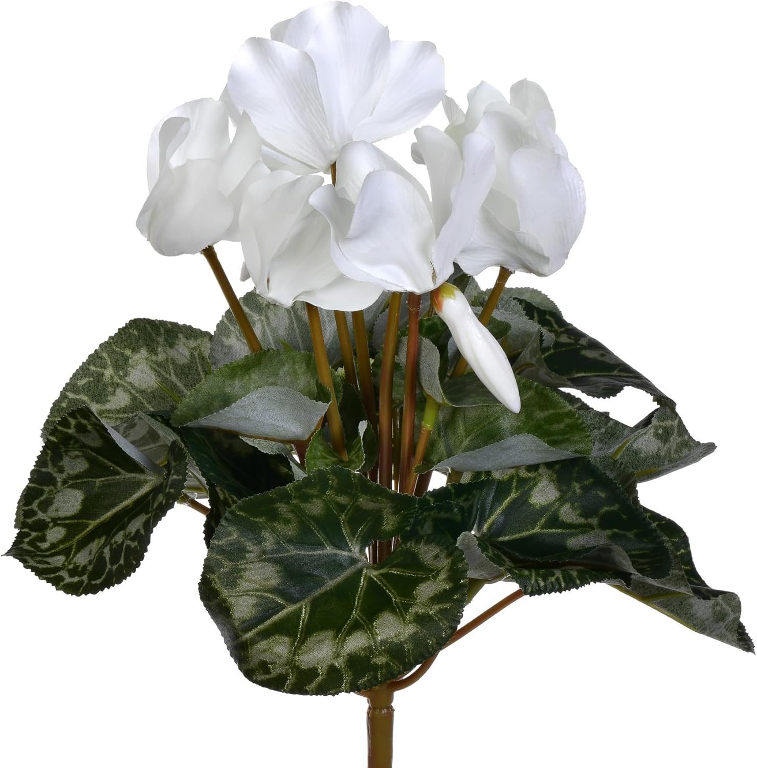 Vickerman 11" Artificial Polyester White Cyclamen Bush - 25 Leaves, 6 Flowers, 2 Buds - Indoor Recommended - Realistic Looking - Artificial White Flower Bush