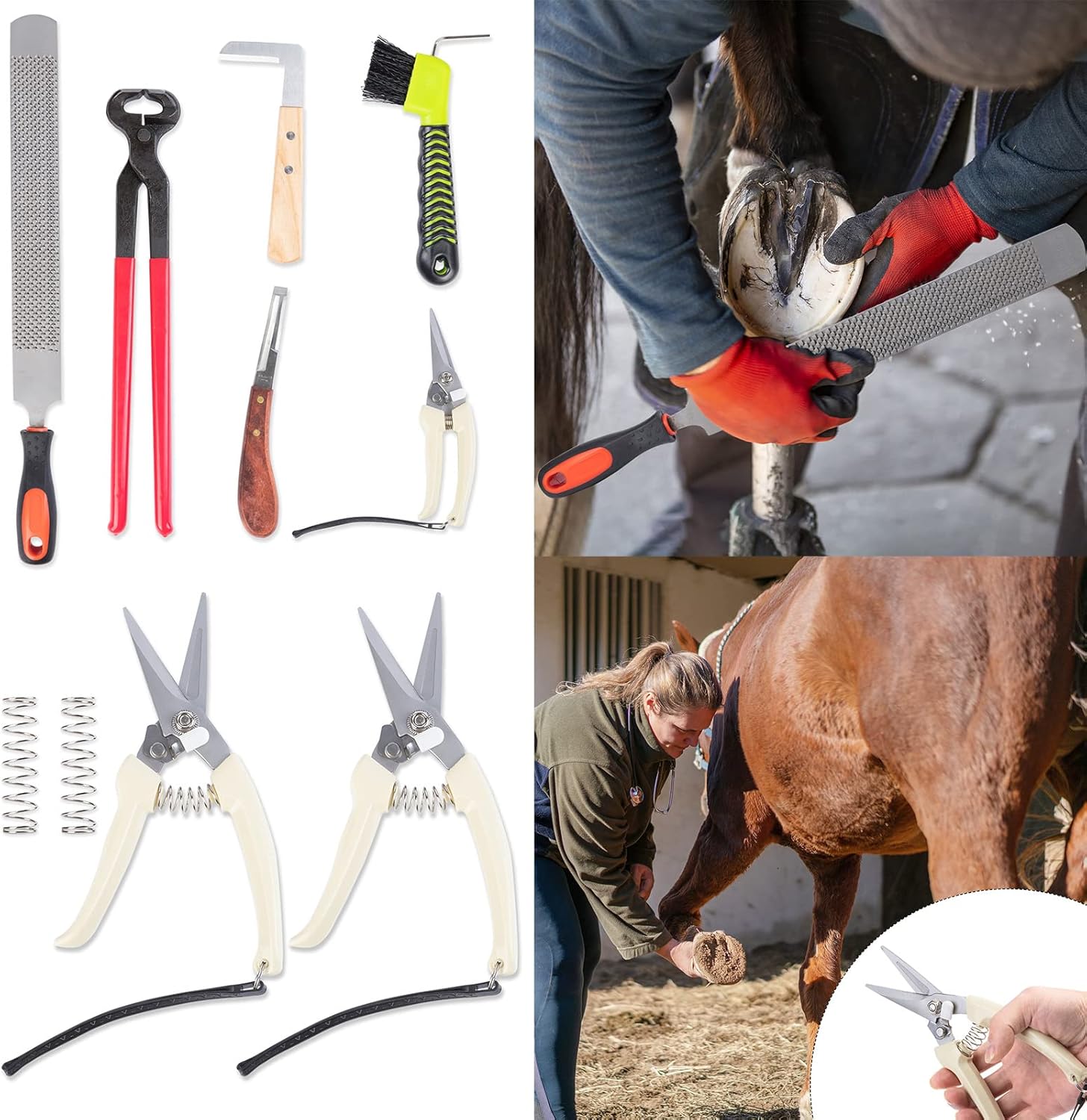 Horses Farrier Hoof Tool Kit 16 Inch Horseshoe Pliers