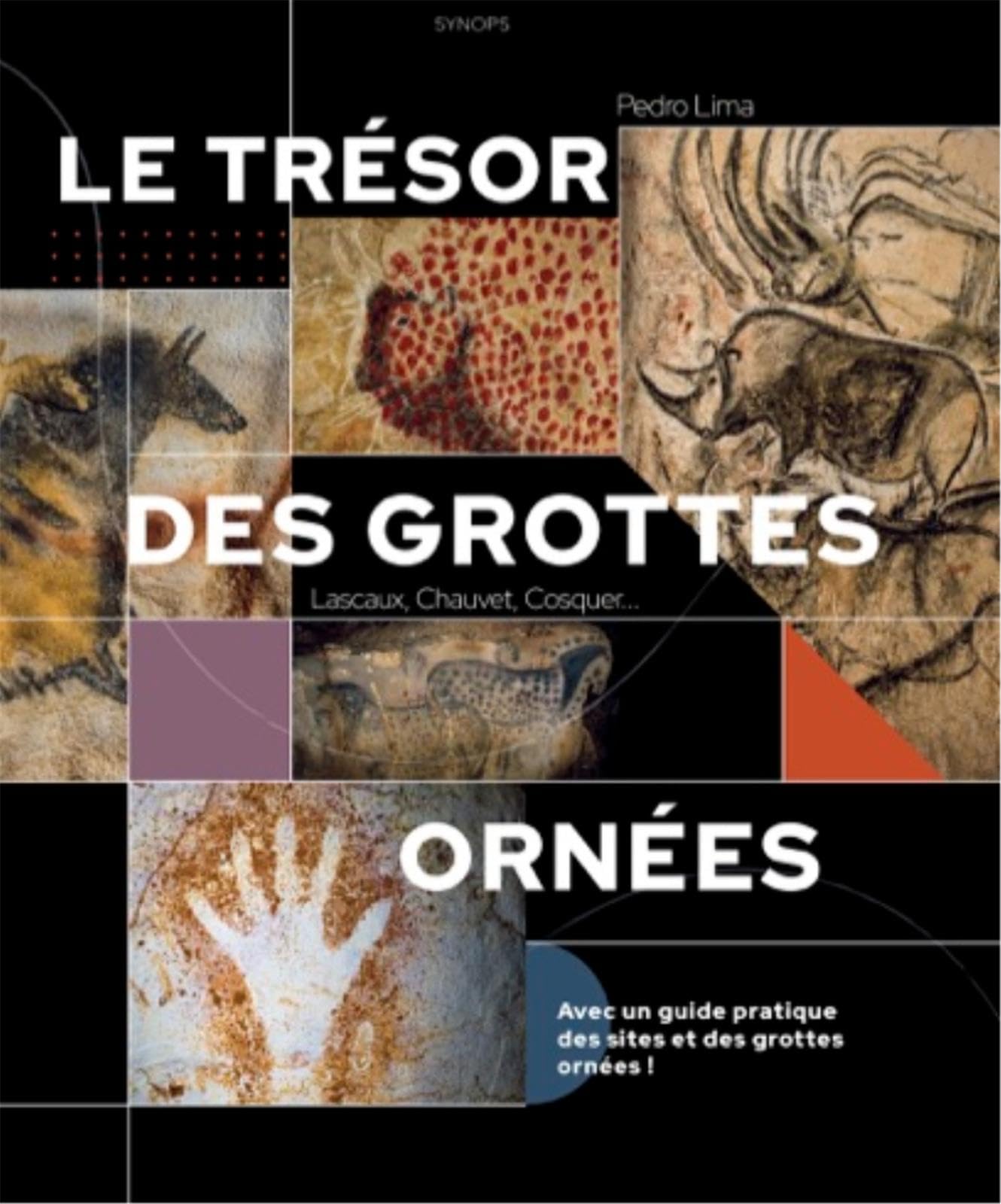 Le trésor des grottes ornées: Lascaux, Chauvet, Cosquer...