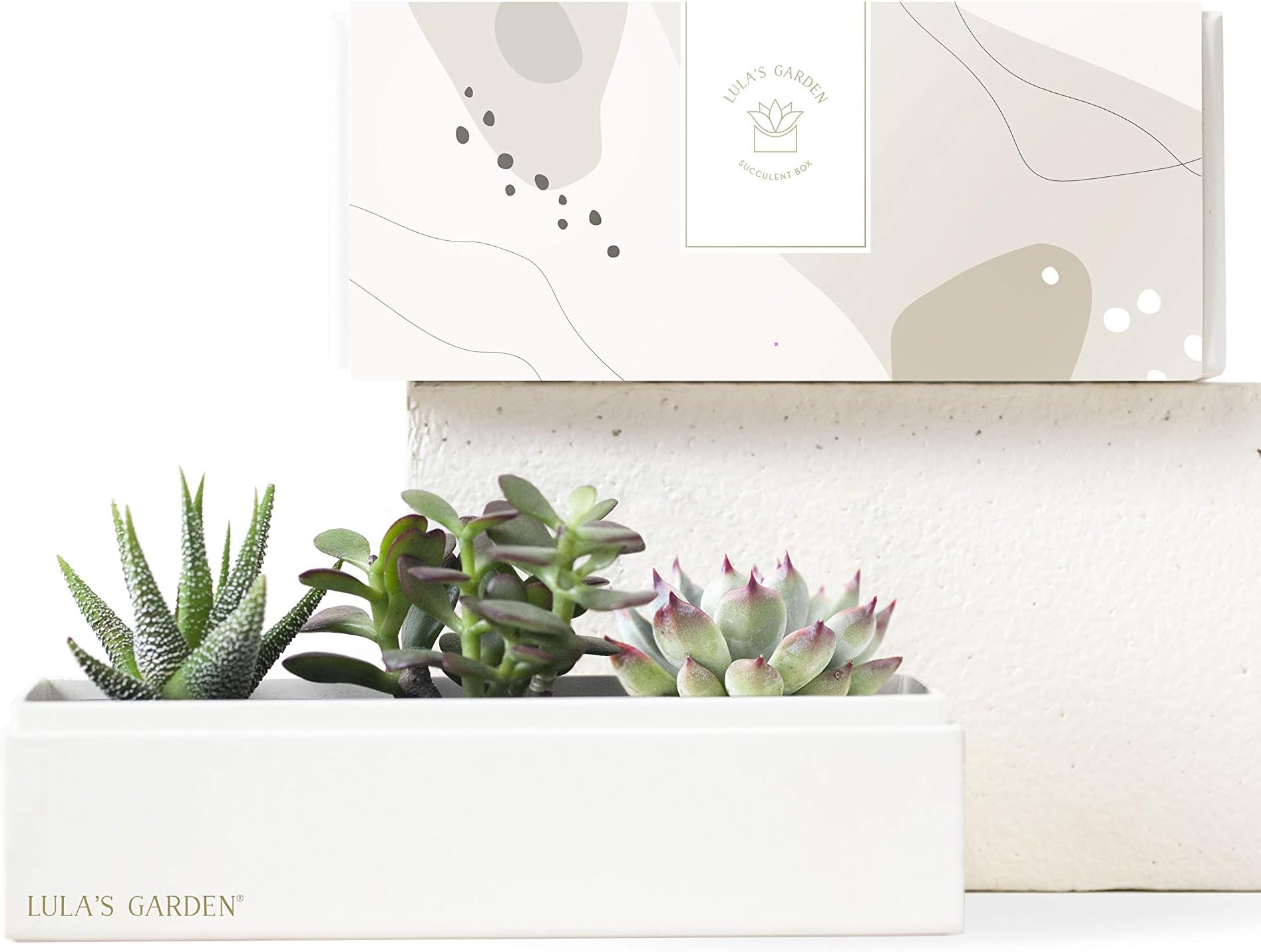 Jewel Garden (Lula's Garden)