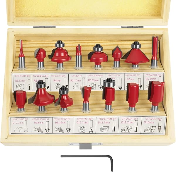 Flintronic Set de fresas de madera de 15 piezas