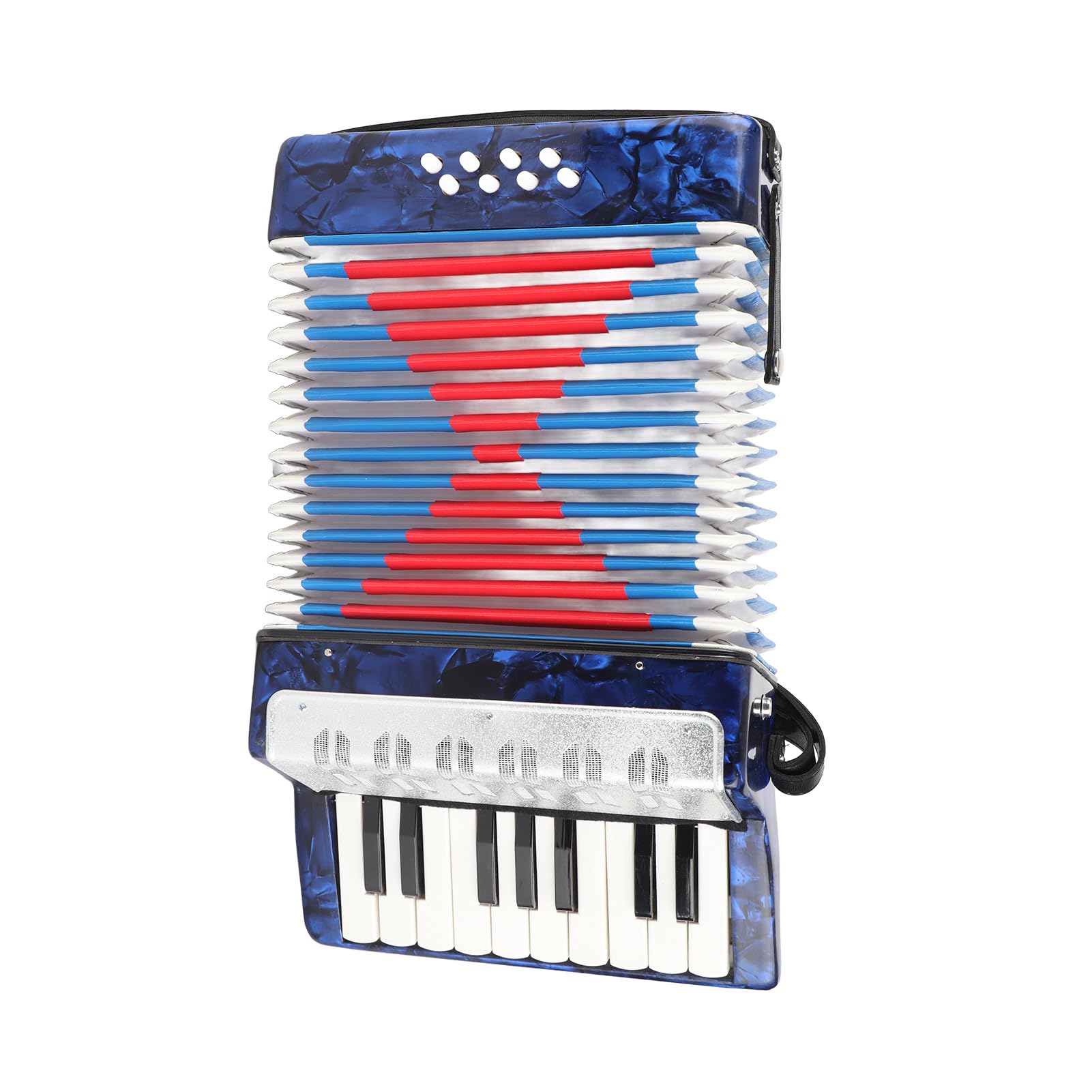 Fisarmonica a Piano 17 Tasti 8 Bassi Fisarmonica a Mano Insegnamento Formazione Coltivazione di Interessi Strumento Musicale per Bambini Studenti Principianti