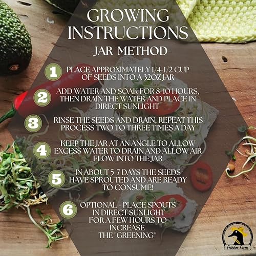 Miniatura 7 de Semillas iniciales de brotes de frijol estilo ensalada de 1 libra, más de 2000 semillas, sin OMG, mezcla de germinación, incluye alfalfa, brócoli,