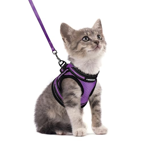 rabbitgoo Cat Harness and Leash Set, Step-in Soft Vest (Purple)