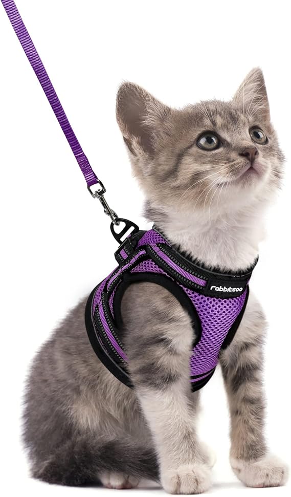 Pet Supplies rabbitgoo Cat Harness and Leash Set for Walking Escape