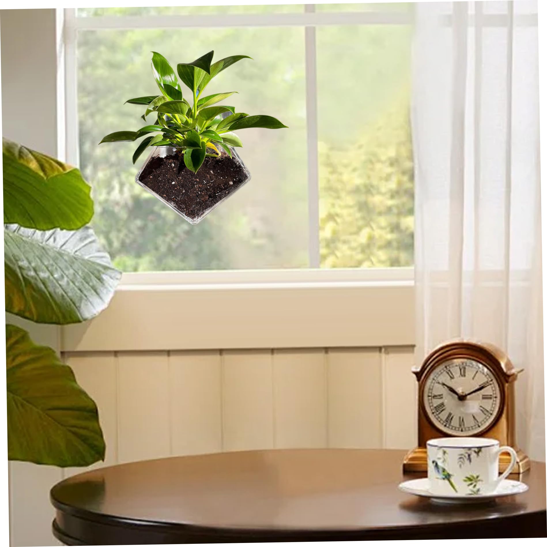 Lamppdcor Fenster-Pflanzer Aus Acryl Mit Saugnapf – Transparent, Diamantförmig, Für Sukkulenten & Kleine Pflanzen