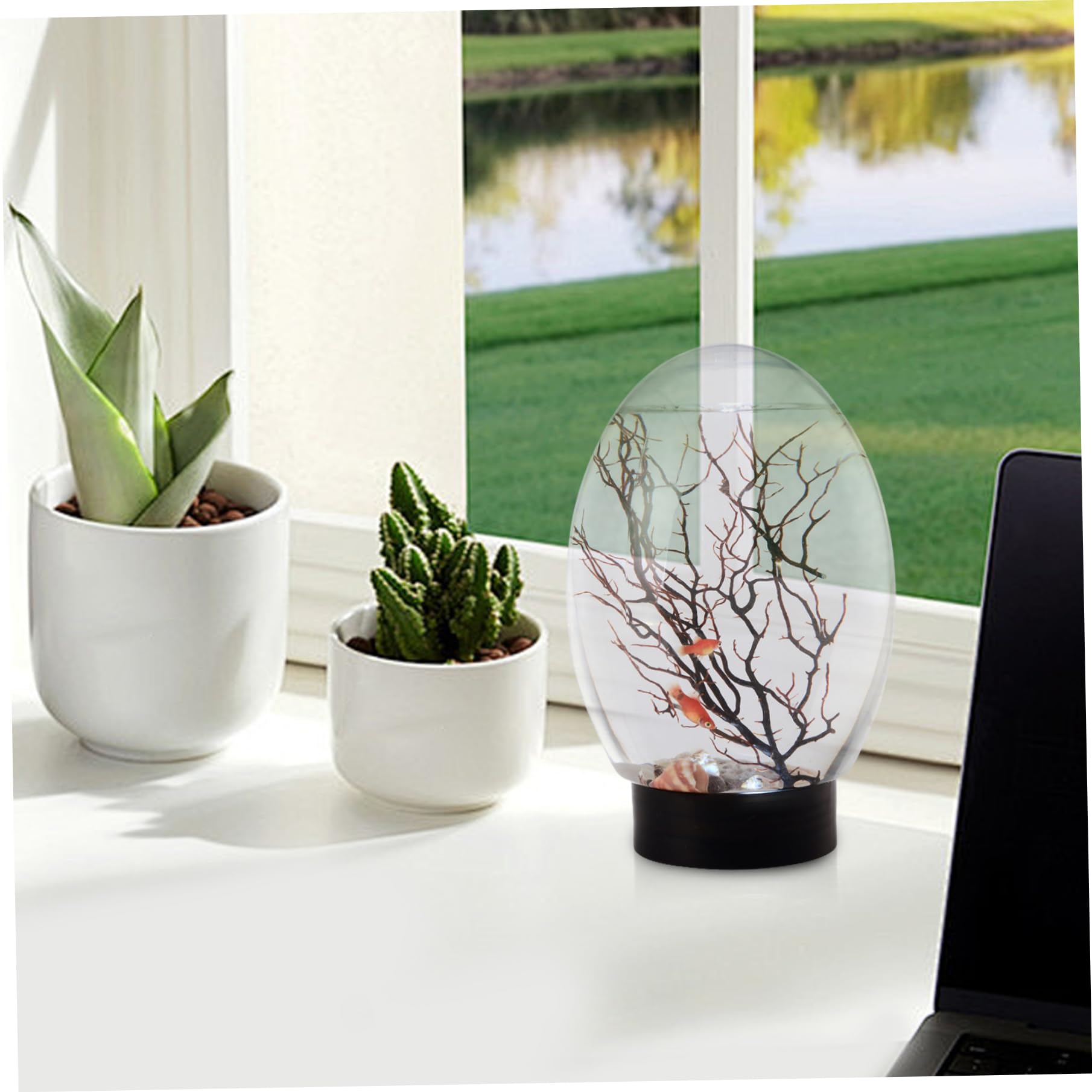 Mini Aquarium, Petit Aquarium de Bureau avec lumière LED, écosystème Autonome, Pas Besoin de Nourrir ou Changer l'eau, écosystème Aquatique fermé pour la Maison, Le Bureau, l'écosphère cre