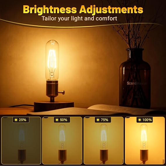 T10 Tubular Light Bulbs 25 Watt Incandescent Light Bulb,T10 Bulb,120V 25W 2200K Tube Light Bulbs E26 Medium Base Dimmable for Vintage Style Showcase,Curio Cabinet,Chandeliers Pack of 2