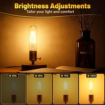 T10 Tubular Light Bulbs 25 Watt Incandescent Light Bulb,T10 Bulb,120V 25W 2200K Tube Light Bulbs E26 Medium Base Dimmable for Vintage Style Showcase,Curio Cabinet,Chandeliers Pack of 2