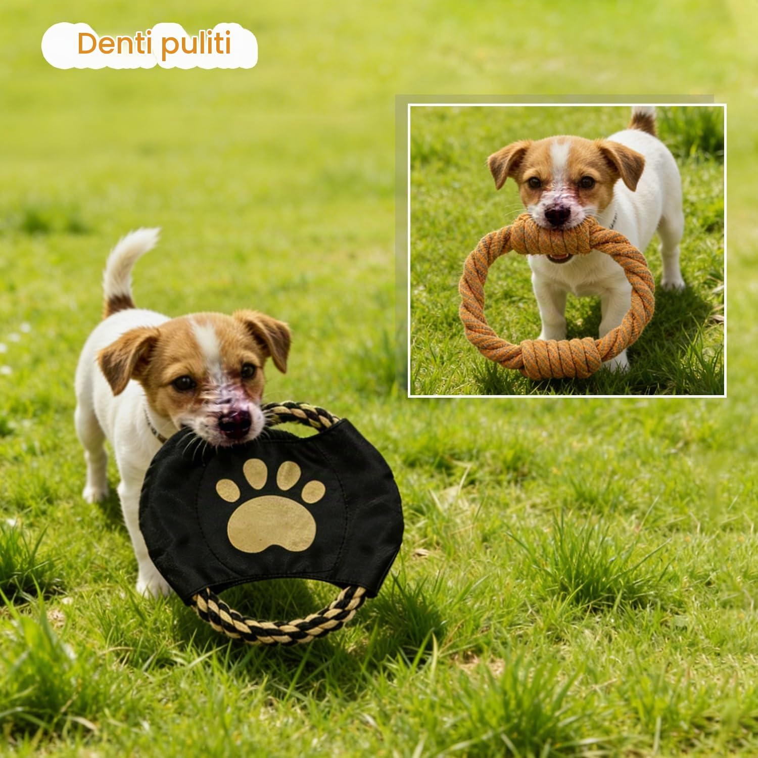 Waldseemüller Giocattoli per cani - Set di 9 giocattoli per cani di piccola e media taglia