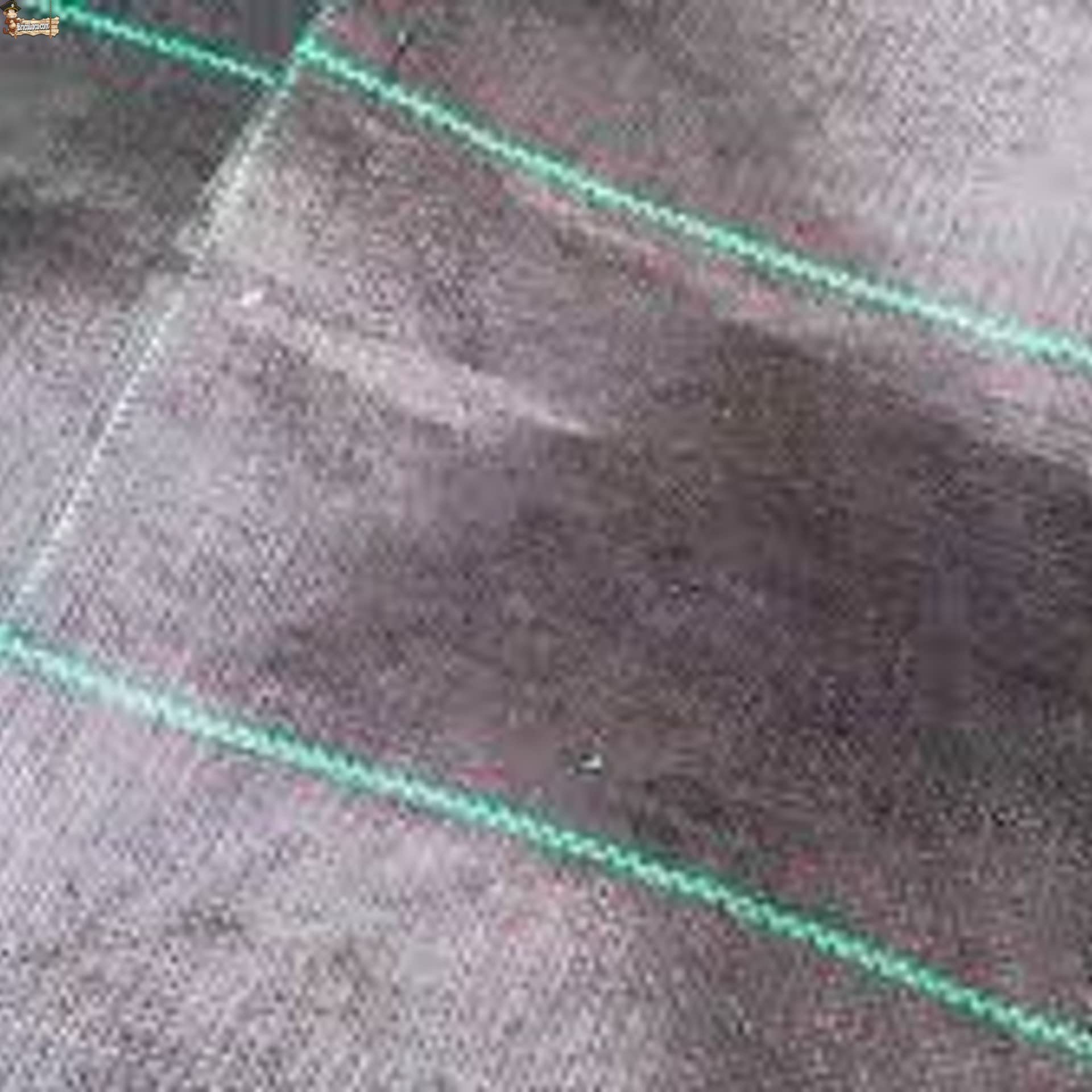 BricoLoco.com Manta Malla antihierbas Negra para Agricultura, jardín, huerto, césped Artificial. 135 grs./m2. Tela en Rafia de Polipropileno 100%. (50, 2)