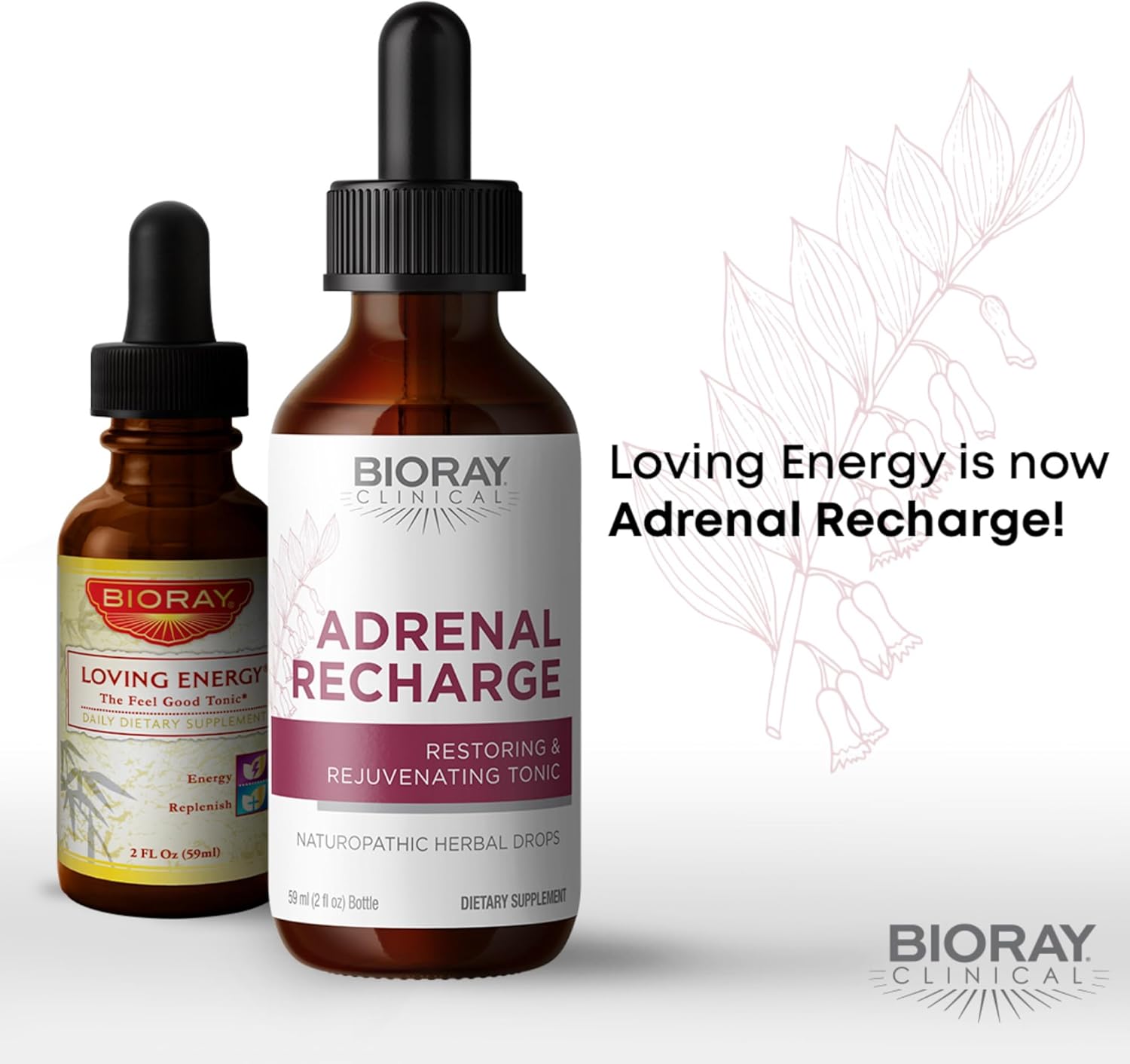 BIORAY Clinical Adrenal Recharge - 2 fl oz - Restoring & Rejuvenating Alcohol Tincture - Non-GMO, Vegan, Gluten Free