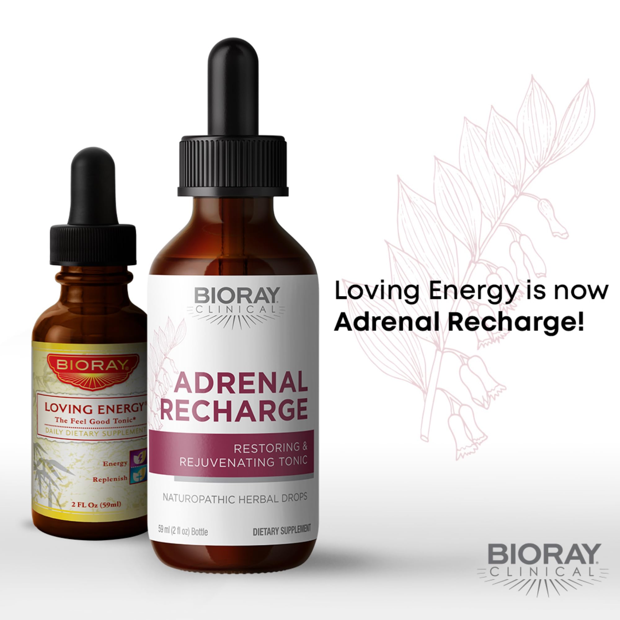 Amazon.com: BIORAY Clinical Adrenal Recharge - 4 fl oz - Restoring