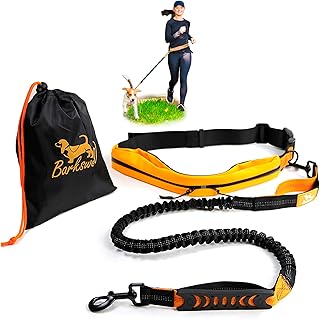 Barkswell Joggingleine Hunde mit Bauchgurt zum Laufen, Joggen, Wandern - Bauchgurt Hundeleine mit 2 Taschen für Wertsachen. - Freihandleine Hund für Grosse und Mittelgroße Hund