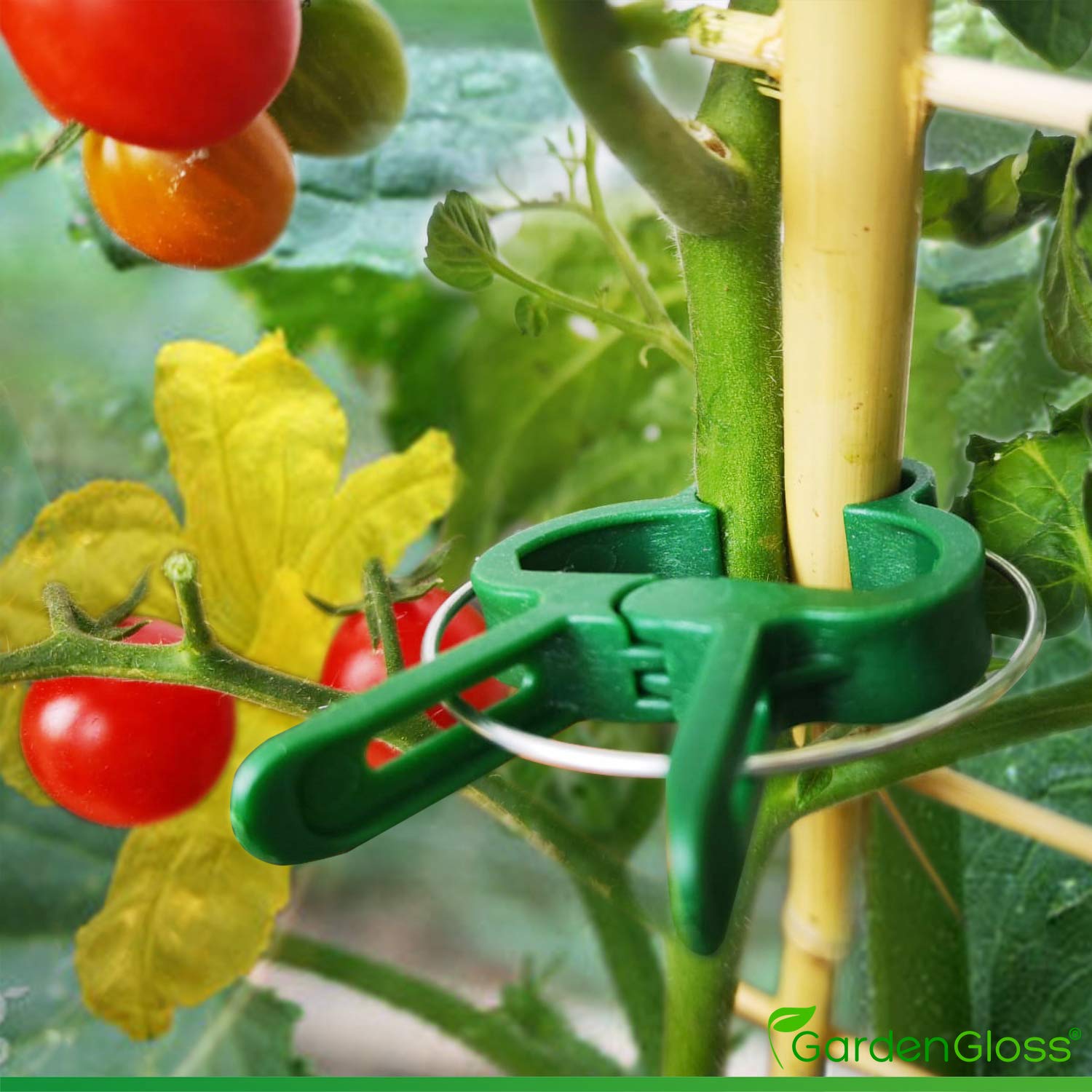 Pflanzenclips 50 Stück - Wiederverwendbar Für Tomaten, Gurken & Kletterpflanzen