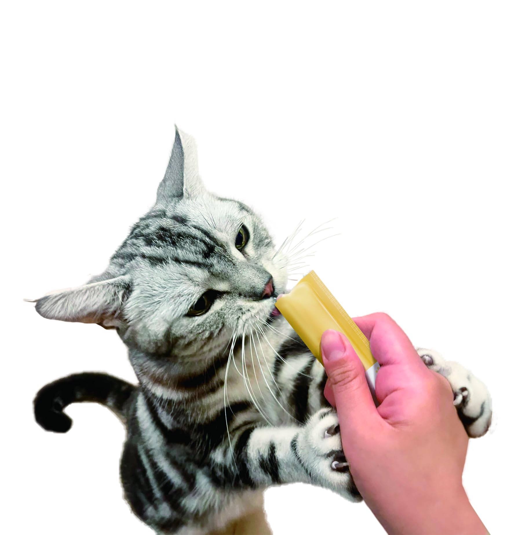 ⭐️新品 はごろも キャットフード 無一物 舌福 バラエティ 3種類×4袋X8箱 Amazon.co.jp: はごろも キャットフード 無一物 舌福 バラエティ