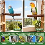 Ver la foto 4