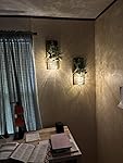 Review Image by Malisa M