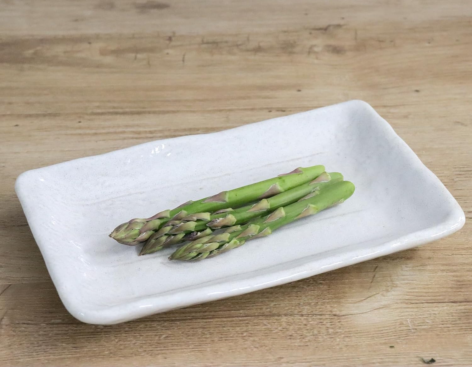 キャッスルエンタープライズ(Castle Enterprise) Mino Ware Japanese Cafe Series Aiso Plate White Set of 10 (Size: H2 x W10.8 x D17 cm)